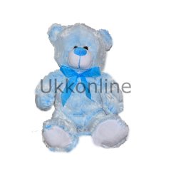 78624 POPÜLER RENKLİ AYI 33CM