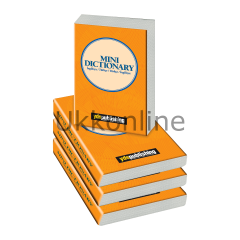 MINI DICTIONARY YDSPUBLISHING YAYINLARI