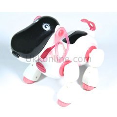 2089 KUT. U/K AKILLI KÖPEK