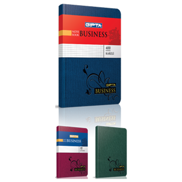 GIPTA CİLTLİ DEFTER BUSİNESS 20-28 160 YP KARELİ