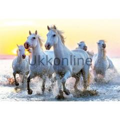 Educa 1000 Parça Puzzle 17105 White Horses At Sunset