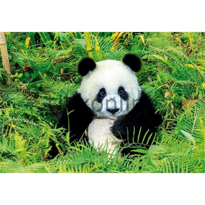Educa 500 Parça Puzzle 17082 Panda Bear