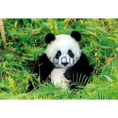 Educa 500 Parça Puzzle 17082 Panda Bear