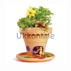 FG/202 MİNİ PERİ SAKSISI /Sarı /My Fairy Garden