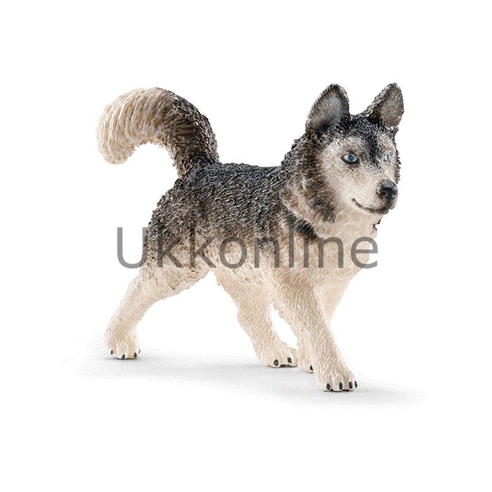 Schleich 16835 Husky
