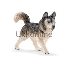Schleich 16835 Husky