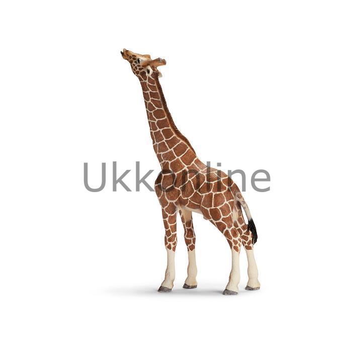 Schleich 14749 Erkek Zürafa