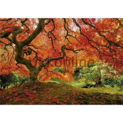 EDUCA 1500 PUZZLE 16310 JAPANASE GARDEN