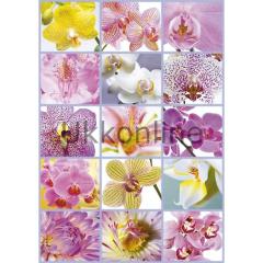 EDUCA 1500 PUZZLE 16302 COLLAGE OF FLOWERS
