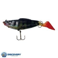 Dft 5555 İğneli 8cm 11g 009 4 Adet Sasi