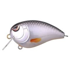 SPRO BABY FAT JOHN 50 SPOOKY ROACH 5 PCS