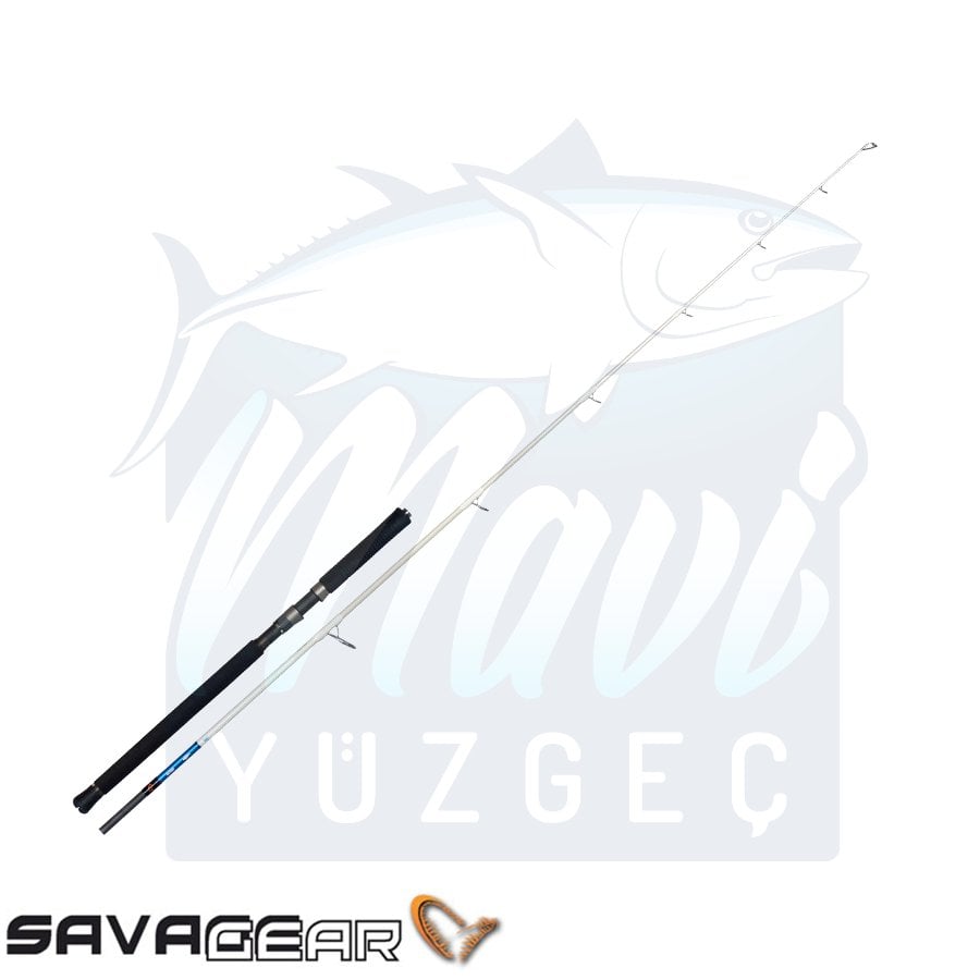 Savage Gear Salt 1DFR Pop n Stick 234cm 80-150g 2 Parça