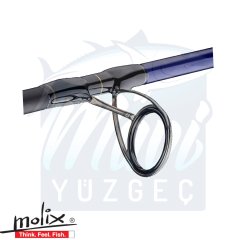 Molix Skirmjan R. 9'6” 2.92cm 2pcs Lure Max 100gr. PE 2.5-4 Regular 3.1 / 2 oz