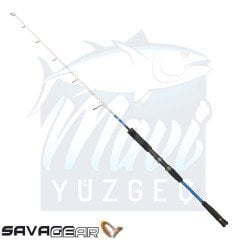 Savage Gear Salt 1DFR Jigging 159cm Mh 150-270gr