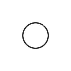 20 x 2 mm o-ring, numune alma kabı için, 28400 ve 28401 için
