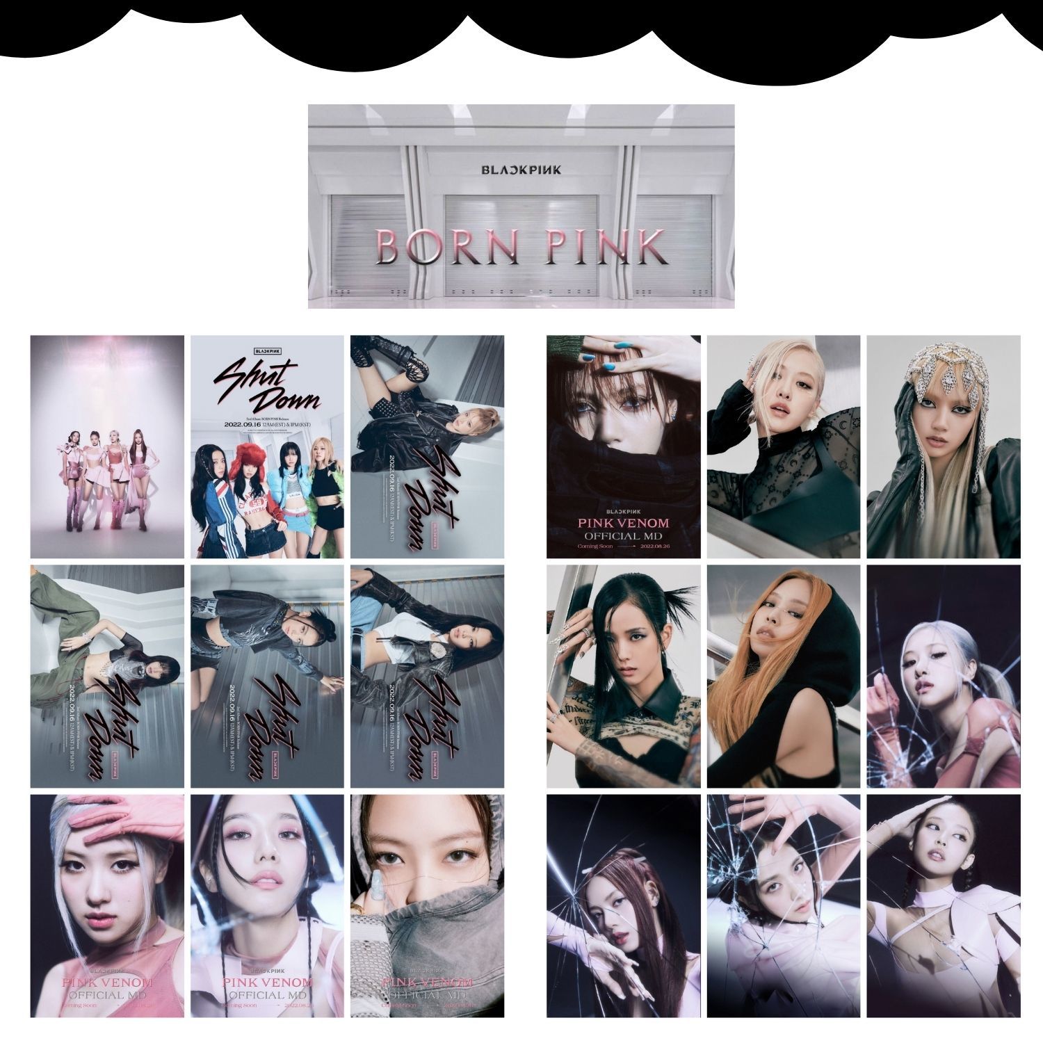 BLACKPINK '' Born Pink ''  Fotokart Seti