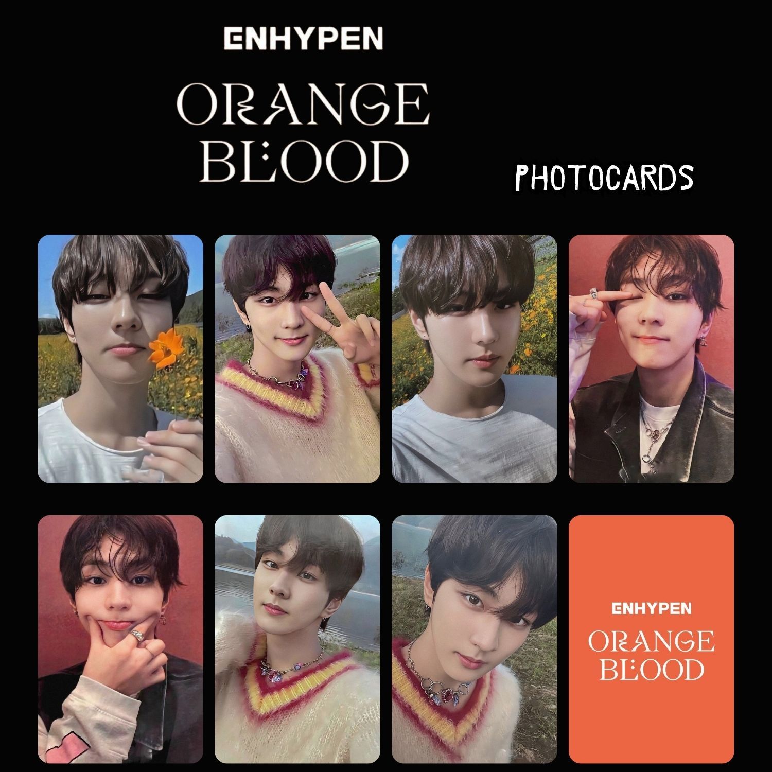 ENHYPEN JUNGWOON '' Orange Blood '' Photocards Set