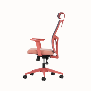 Lumbar Ofis Müdür Koltuk Somon Renk