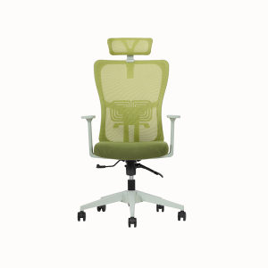 Lumbar Ofis Müdür Koltuk Yeşil Renk
