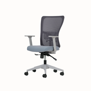 Lumbar Çalışma Koltuk Gri