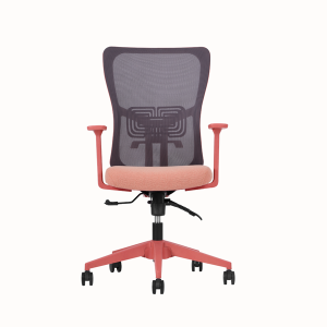 Lumbar Çalışma Koltuk Somon Renk