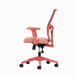 Lumbar Çalışma Koltuk Somon Renk