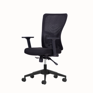 Lumbar Çalışma Koltuk Siyah