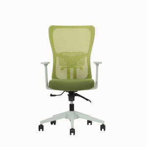 Lumbar Çalışma Koltuk Yeşil