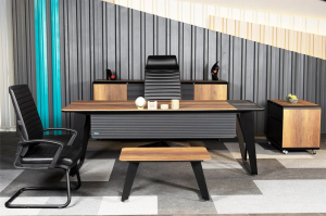 Alpix Ofis Büro Yönetici Takımı ( 210 cm Masalı)