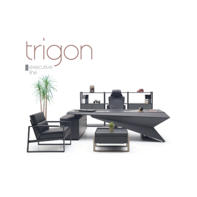 Trigon Ofis ve Büro Makam Takımı