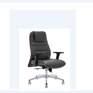 Nova X Ofis Büro Şef & Toplantı Koltuk