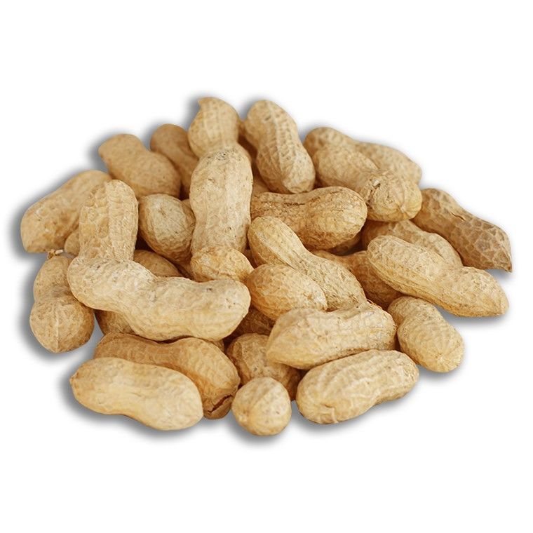 osmaniye kabuklu yer fıstığı 500gr