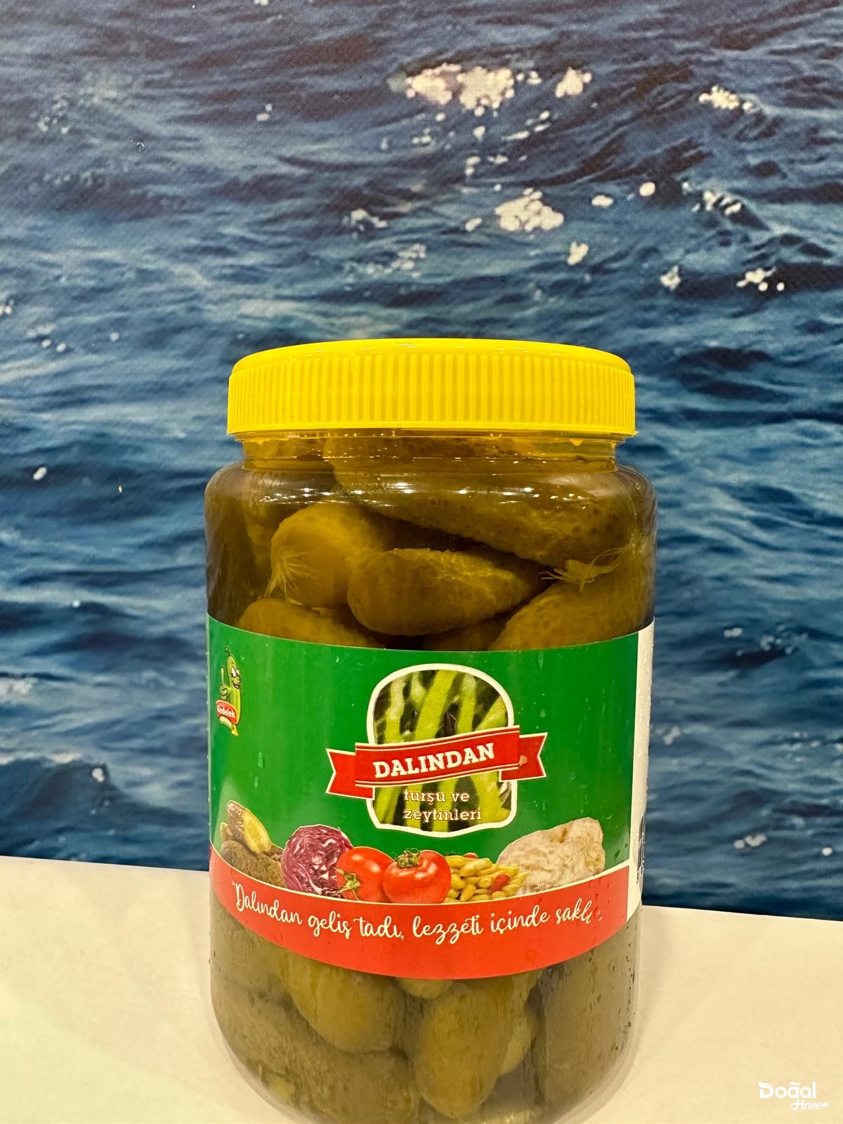 DALINDAN SALATALIK TURŞUSU NET500GR