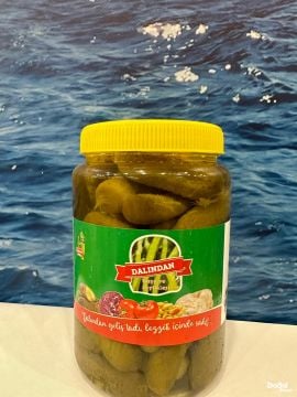 DALINDAN SALATALIK TURŞUSU NET500GR görseli.