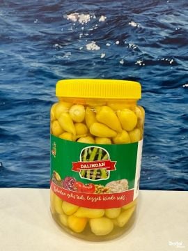 DALINDAN ACI BİBER TURŞUSU NET500GR görseli.