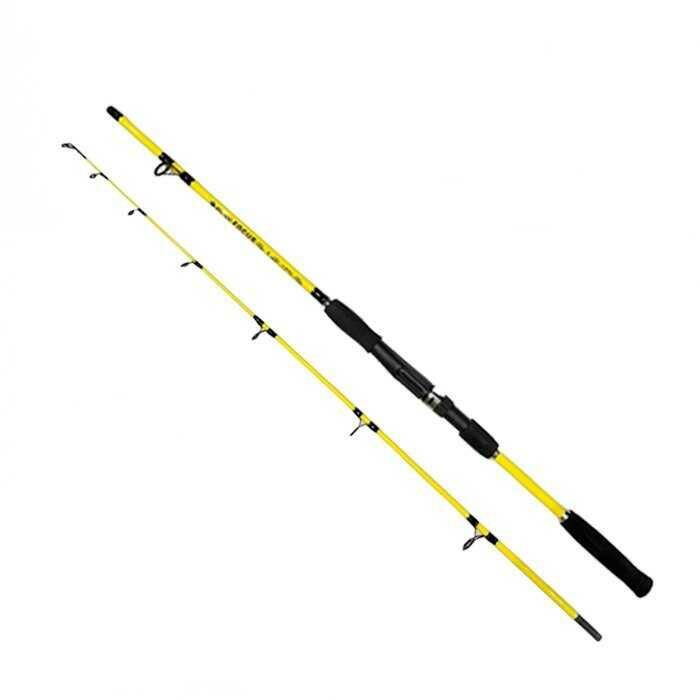 Discovery DFT Focus Dolgu 50-100 165cm  Kamış