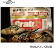Ecogear Marukyu Crab