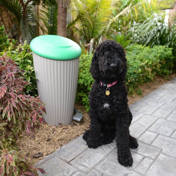 PET POO COMPOSTER