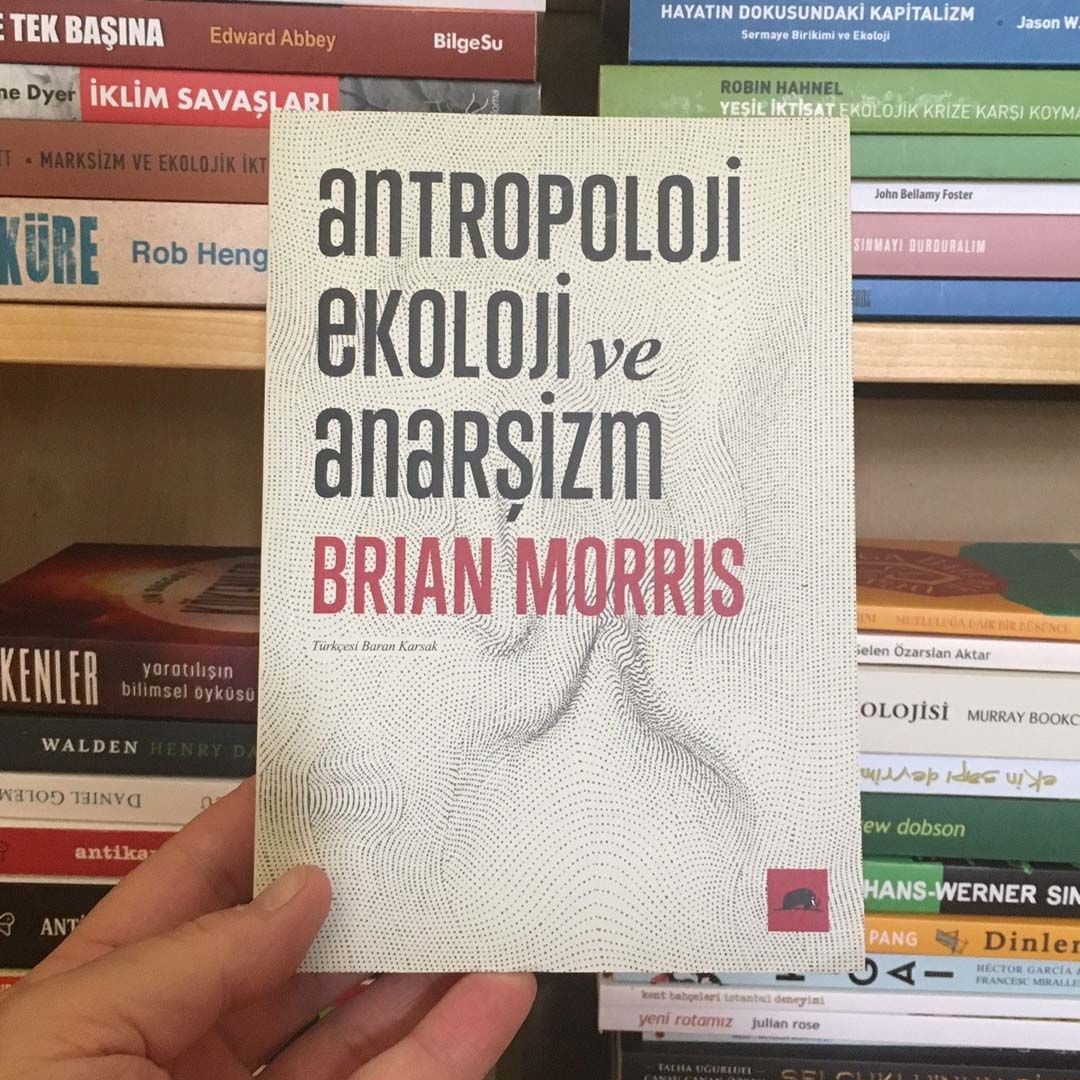BRIAN MORRIS