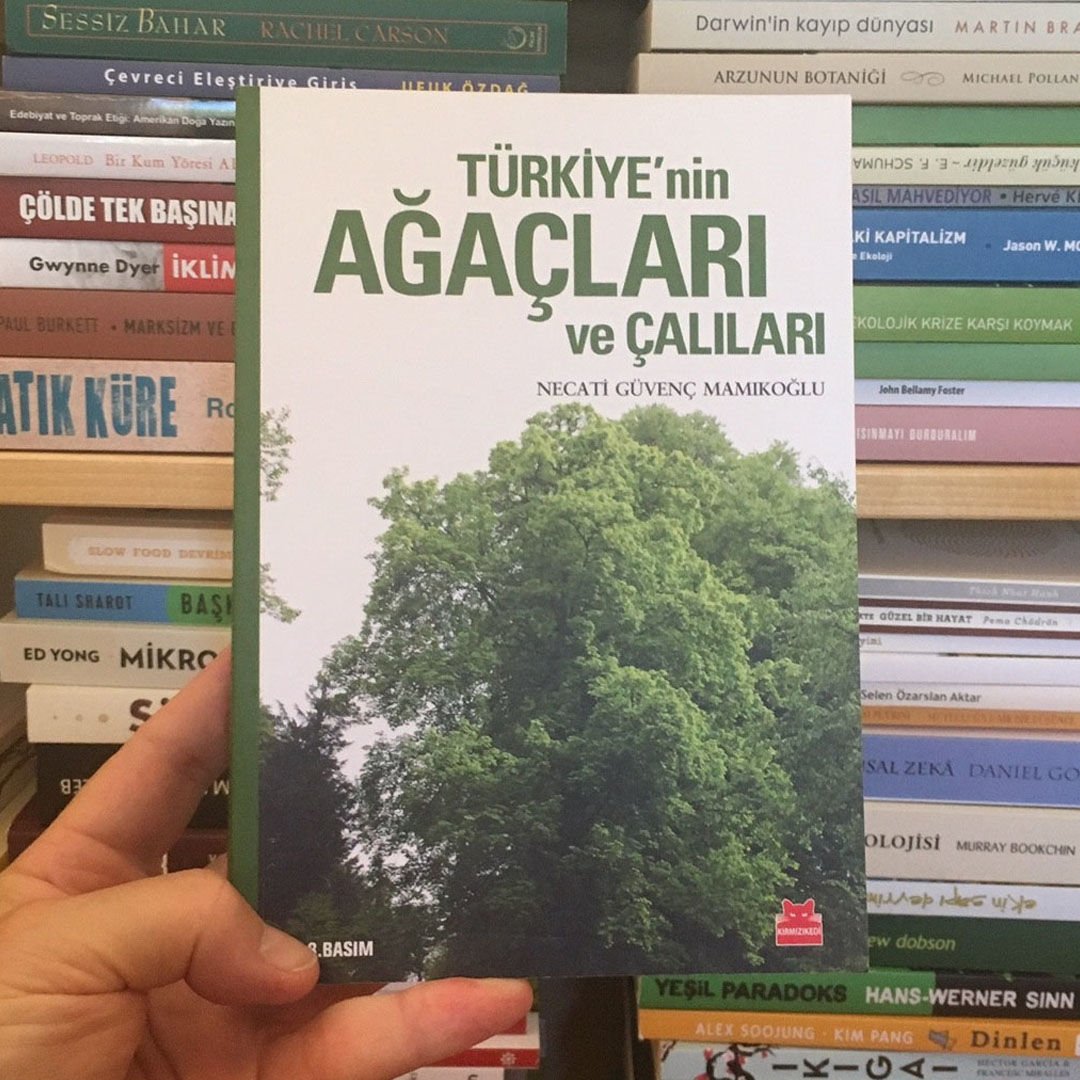 NECATİ GÜVENÇ MAMİKOĞLU