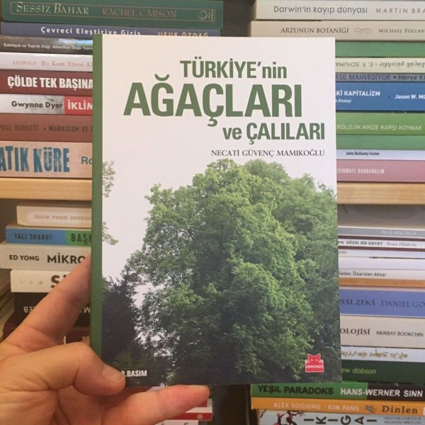 NECATİ GÜVENÇ MAMİKOĞLU