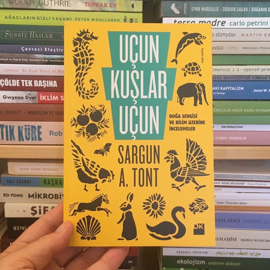 SARGUN ALİ TONT