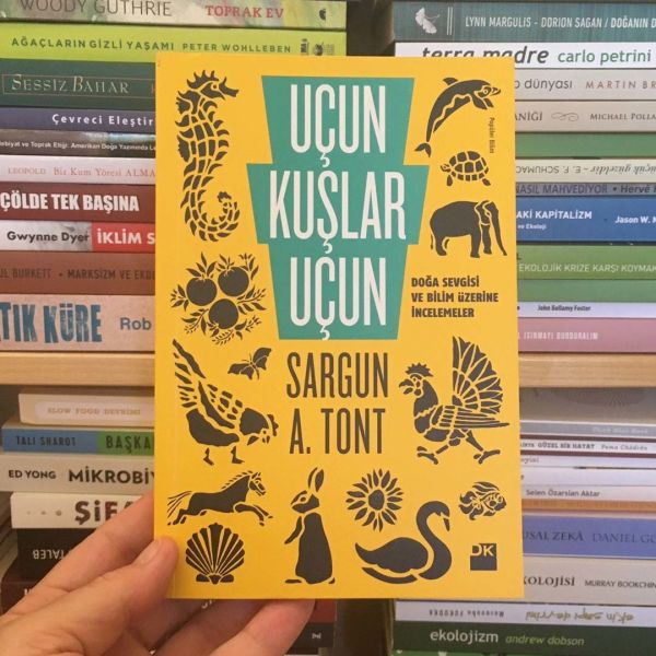 SARGUN ALİ TONT