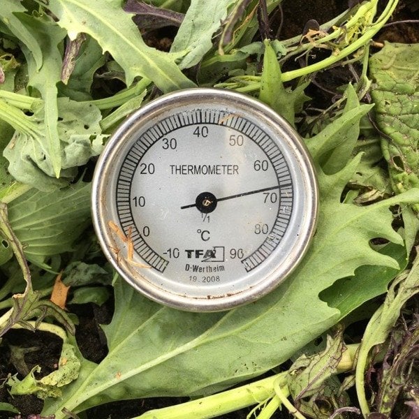 COMPOST THERMOMETER