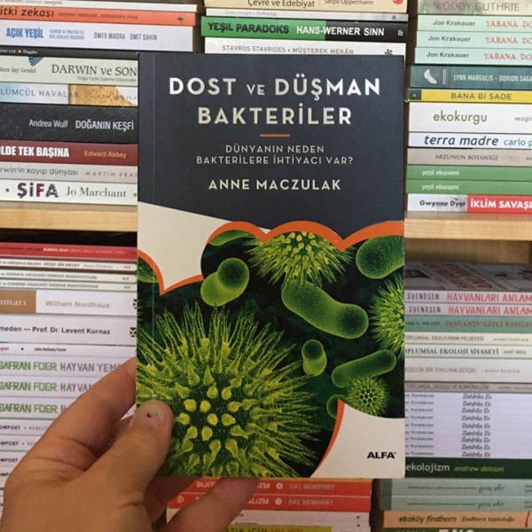 ANNE MACZULAK