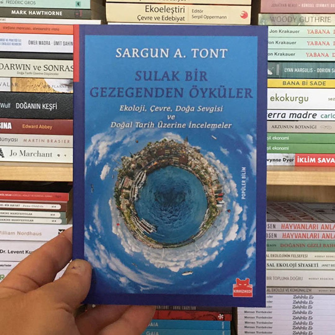 SARGUN ALİ TONT