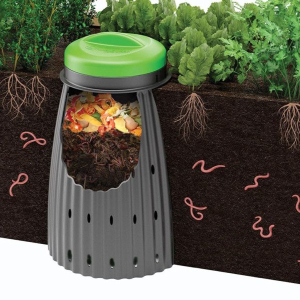 WORM BUFFET
