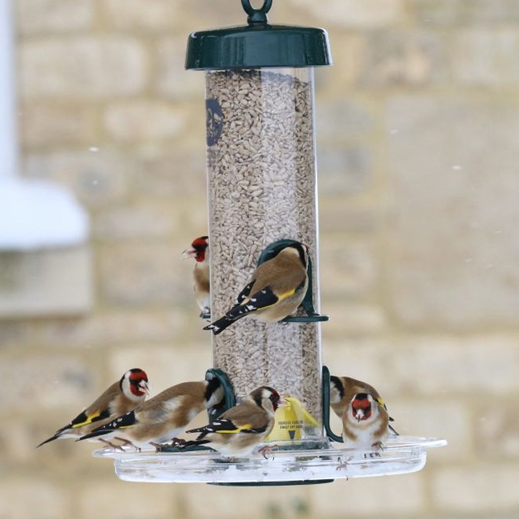 BIG EASY (SEED FEEDER) TRAY