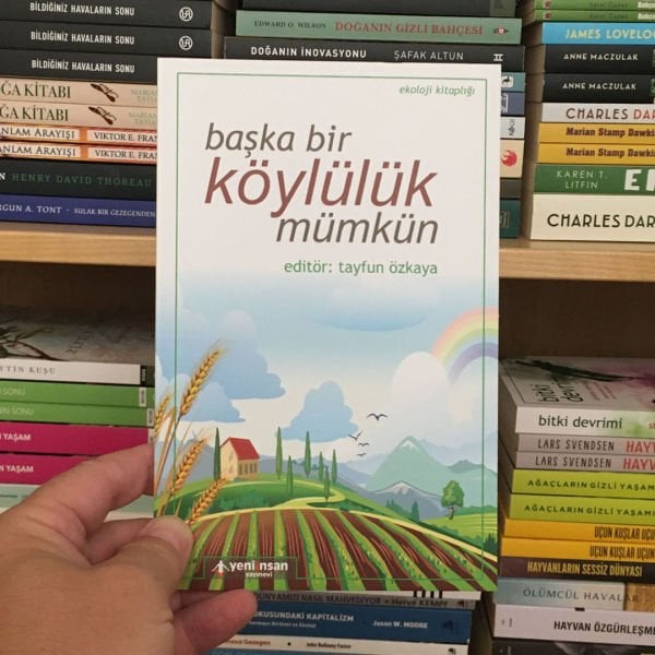TAYFUN ÖZKAYA