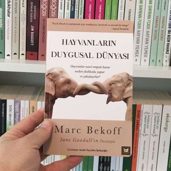 MARC BEKOFF